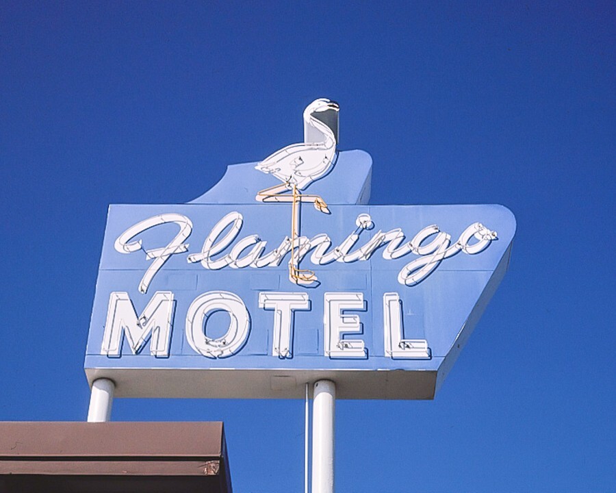 8×10 Vintage photo of the Flamingo Motel in Kansas City, KS. Free Shipping!!