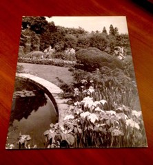 SAMUEL H. GOTTSCHO Vintage 1942 Landscape Gelatin Silver Photo on Board 19 x 16