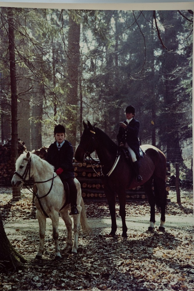Analog Photo France Hunting Hound Horse Horn 24X30CM 1970