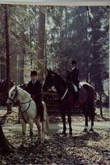Analog Photo France Hunting Hound Horse Horn 24X30CM 1970