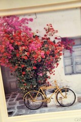 Beautiful color photograph of Paro’s Greece by Alan Klug framed & Matted Signed