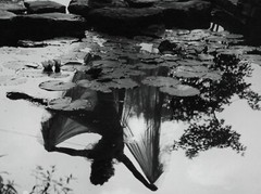 Larger size marked fine art Photograph, 1930’s by SZENDRŐ István ballerina