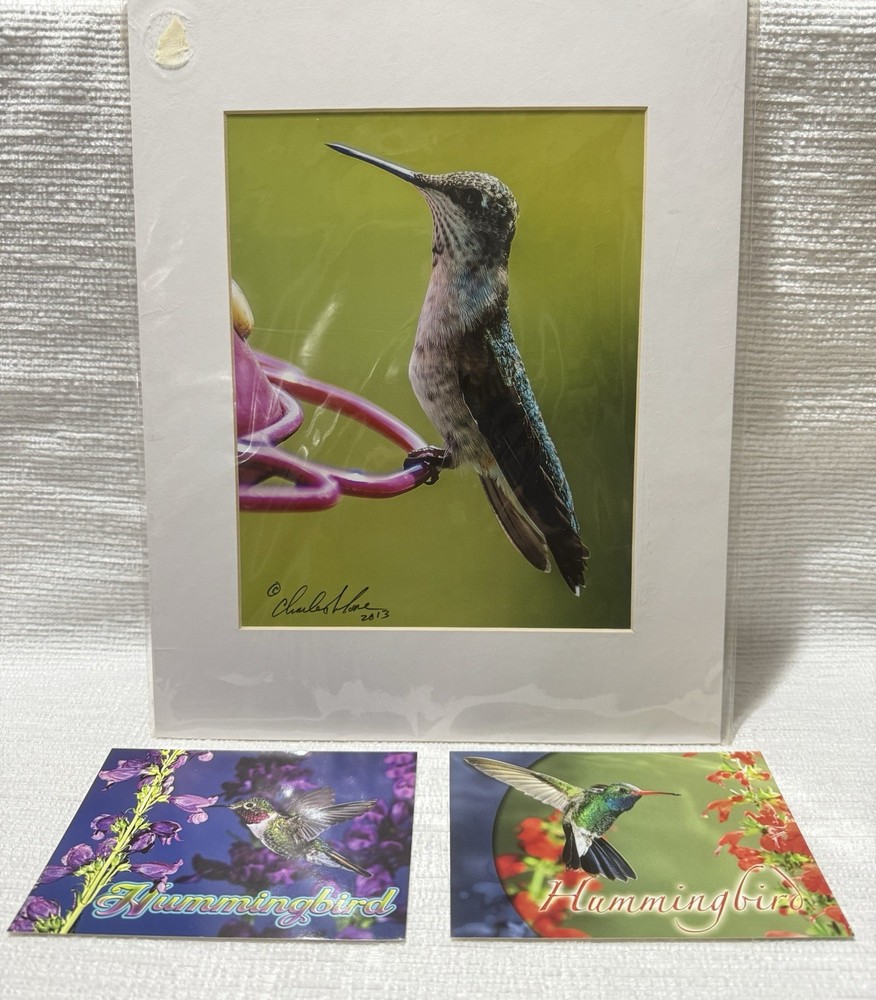 2013-Chas.J.Moore Photo.-S.C.-Hummingbird-11X14 Matted Photo Art Print + BONUS