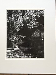 BRUCE BLUM SIGNED B&W Photo Print (10 «X 13») «Girl in Park «