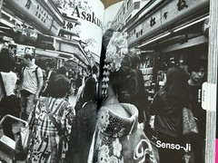 🎈Mega RARE SIGNED! Daido Moriyama – Tokyo, Japan, 2020, Guide, Araki