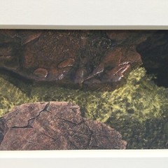Rare Jon Scott Anderson, Lake Stones, MN. 2004 Ed. 2/25 5 3/4”x29 1/2”