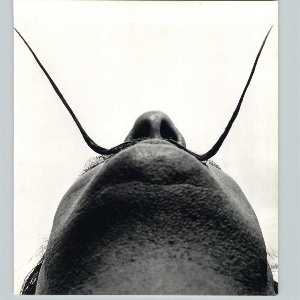1972 1954 Philippe Halsman Abstract Salvador Dali Chin Portrait Photo Gravure