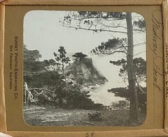 Gilbert? Hassell / Northern California Magic Lanterns Agricultural Big Trees