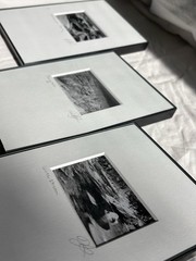 3 Black & White Minimal Modern Framed Photo Art Nature Titled Artist Signed