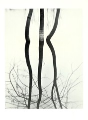 Koichiro Kurita (b. 1943) Art Announcement Card 1991 – Recent Landscapes