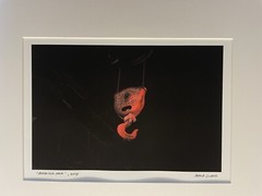 Monmouth University Mark Ludak, MFA Signed Photo Red Hook 2004
