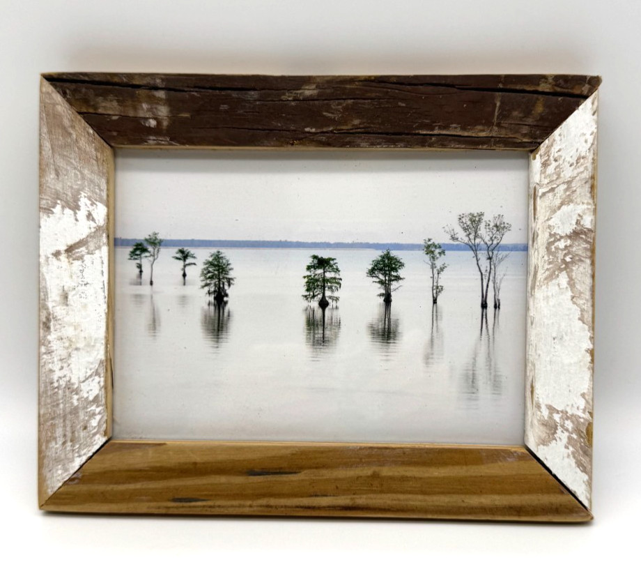 Michael Nocher Photography Lake Moutrie Charleston SC Framed Art 6.75″ x 8.5″