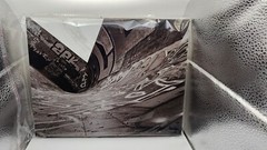 «Urban Jungle» Photograph by artist duo T&P 8 Inches by 11 Inches