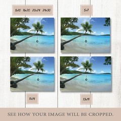 Oppenheimer Beach Tire Swing Photo, St John USVI, Beach Photography Art Print