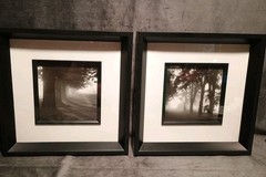 2 Modern Black & White Photography Trees Minimalist Moody 11.25 » Square Frames