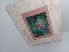 Marigold Double Matted Photo 3.5×5 in 8×10 Matted Frame Includes Hanging String