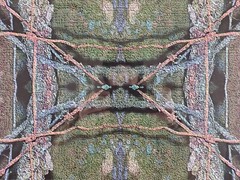 ART – Original Christine Thomas Abstract Photograph 25×19 Framed 35mm Modern Art