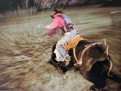 Shane Knight Signed & Numbered Photograph LE “Saddle Horn” No 13 Of 500 Cowboy