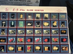 Kodachrome Red Border Lot Of 40 1950’s Still Life Flowers 35mm Color Slides B