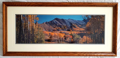 Thomas Mangelsen Rocky Mountain Indian Summer Lim Ed Framed Print Photograph