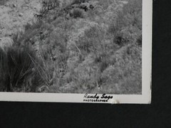 UNION PACIFIC 9000 Locomotive 8×10 Photograph Vtg 50s Railway Railroad APPROACH
