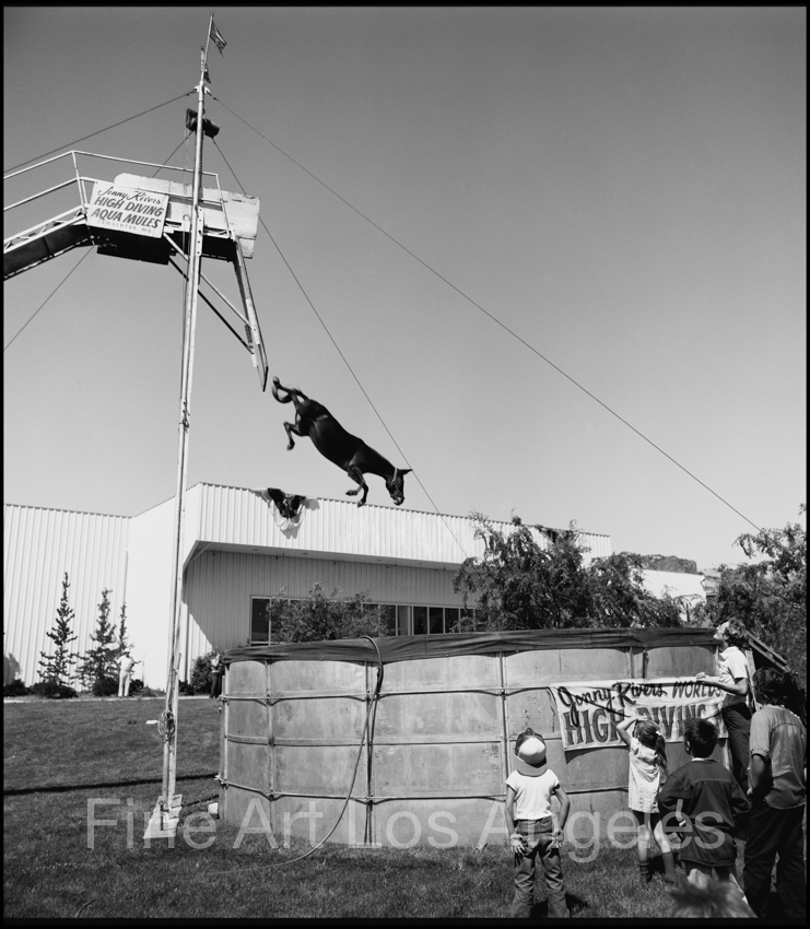 Neal White Photo, «Diving Horse» Side Show 1970s