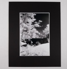 Black Mat Photo Landscape Park Infrared Photography Bridge Trees Art Print