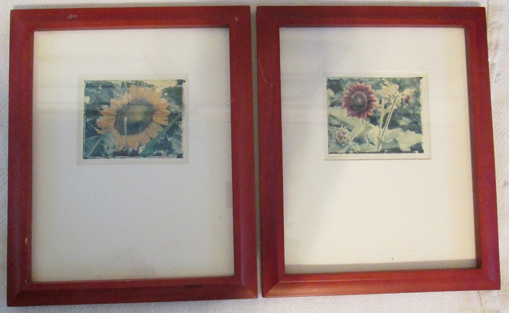 Set of 2 Red Framed Sunflower Photos
