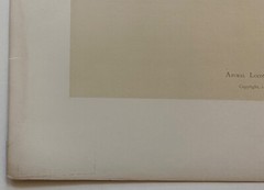 EADWEARD MUYBRIDGE authentic 1887 collotype ANIMAL LOCOMOTION PLATE 218 – lewitt