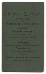 Photograph Alfred Schmidt, Dresden, Warthaerstr. 4, handsome gentleman in suit b