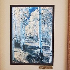 Art Gore Artwork Photography Marble Trail Vintage Framed Original Rustic Scenery