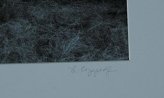 Original Signed & Numbered Art Photograph Titled «The Dream» by Laurie Coppedge