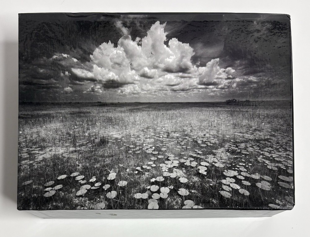 Clyde Butcher SIGNED Notecards Collection Swamp B&W Fine Art Photos Vintage Rare