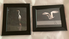2 Black Framed Great Egret Art Photographs © 2006 by Kenneth Lapikockij 13×11