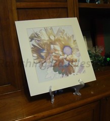 «Peace» Art Photograph White Daisies Original Photo Signed 2018 Hand Cut Mat