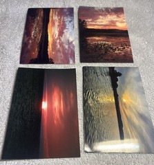 105 Nature Art Photographs 6×4” & 5.25 x4” Vibrant Colorful & 4 Post Cards