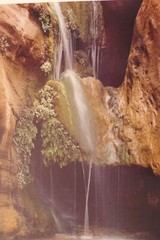LARRY N. OLSON 1981 SIGNED PHOTOGRAPH LIMITED 2/100ELVES CHASIM GRAND CANYON