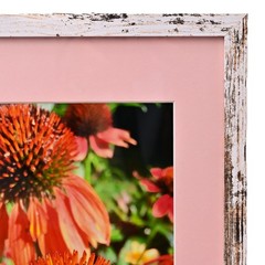 MICHAEL RAY Original Vintage Signed Long Island NY Floral Still Life Photograph
