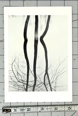 Koichiro Kurita (b. 1943) Art Announcement Card 1991 – Recent Landscapes