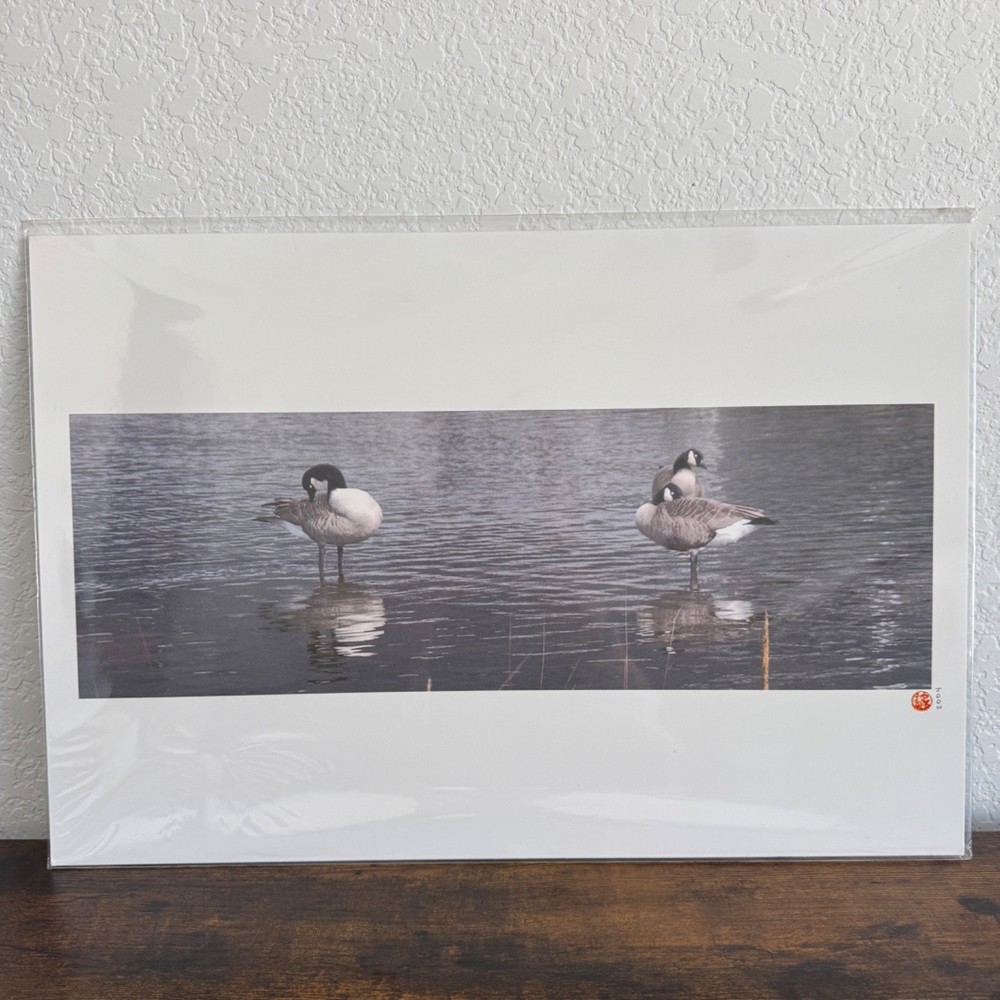 VTG Photography Art Print Ducks In The Water Sealed Packaging 19×13″