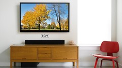 Fall Trees 2, High Resolution Image, Many Formats, TV Art