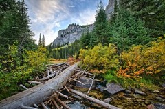 Sawtooth Mountains Wilderness Pettit Creek #1 Idaho Photo Poster Print SM25