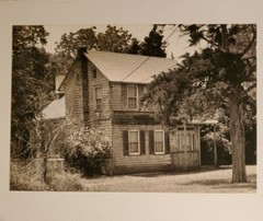HOUSE AND TREES LARGE ORIGINAL SIGNED ART PHOTO B&W STETTNER VTG MATTE NJ CAMERA