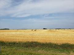 Farm, Hay, Field,Digital Photo, Image,Desktop, Background Wallpaper, Jpeg