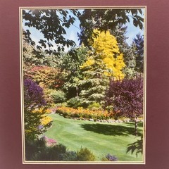 Matted Flower Garden Landscape Photo Print 11 X 14 Wall Art Gallery Decor