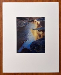 ELIOT PORTER «River edge at sunset, below Piute Rapids» (1962) Signed C-Print