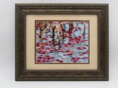 Cranberry Bog Picture Framed and Matted