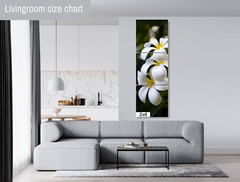 Island Elegance: Hawaiian White Plumeria Flower Wall Art Nature Print