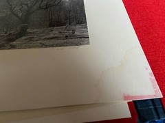 Lot of 5 MARK CITRET Signed Photos With Hardcover Case – Old Halcott Cemetery