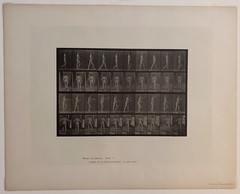 EADWEARD MUYBRIDGE authentic 1887 collotype ANIMAL LOCOMOTION PLATE 550 – lewitt